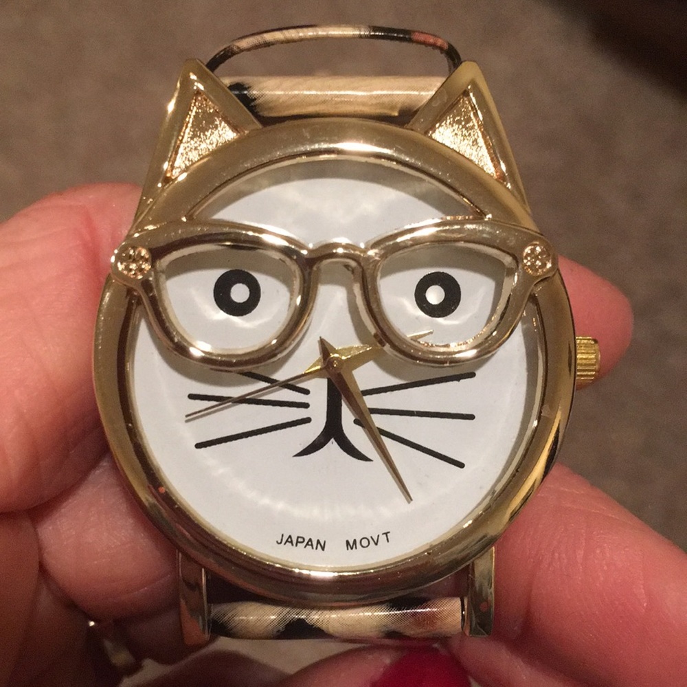Cat watch